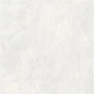 CTINFT 40X40 GL DGR AIGNER LT GRIS H40AIG<LGS 2021-4