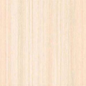 CTINFT 40X40 GL DGR CEMARA LT BEIGE P40CMR<LBG 2022-2