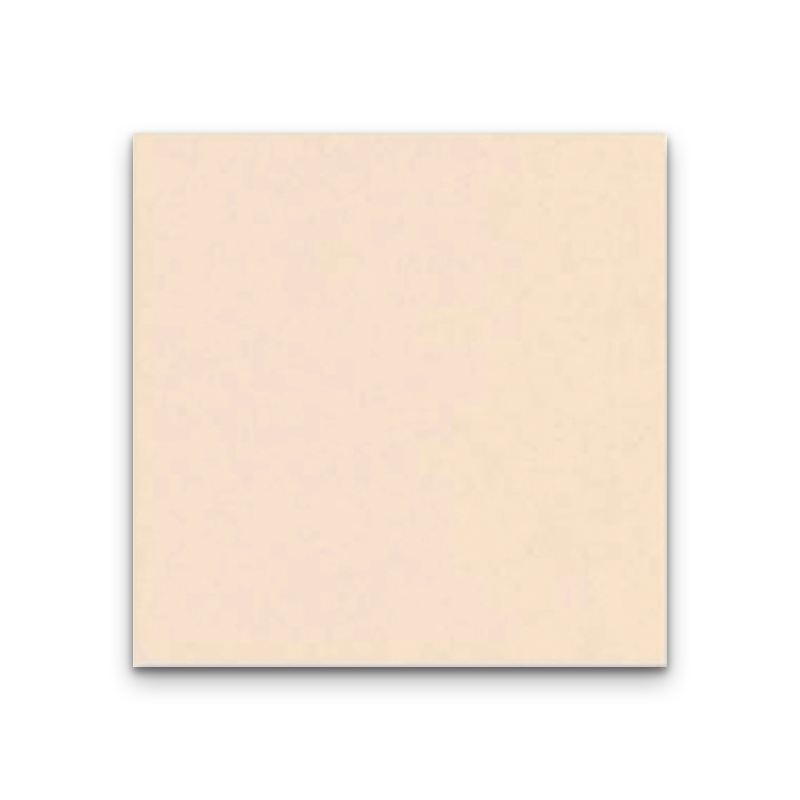 CTIDFT 60X60 MA DG PRIMA IVORY RUSTIC -01 2023-1