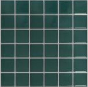 CTIMFT 30X30 GL DG AQUA CORA HP2021091 WP 2022-1