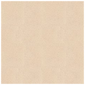 CTIMFT 40X40 RO DG BALENCIAGA BEIGE CW463 2020-1