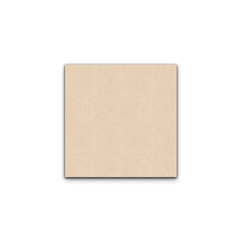 CTIMFT 40X40 ROUGH BALENCIAGA BEIGE CW463