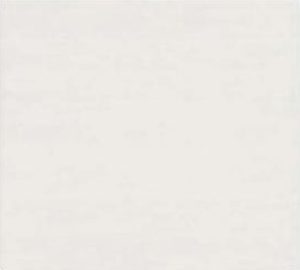 CTINFT 60X60 GL DG GOFASA LT WHITE P60GOF<LWH WP 2022-3