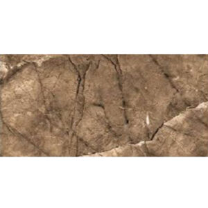 PTIDPO 60X120 DGR ELEGANCE BROWN 2022-4