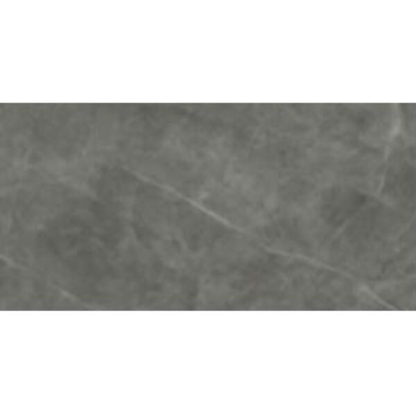 PTCHUN 30X60 DGR MARBLE ELROY MOCHA OW6357F WP 2023-1
