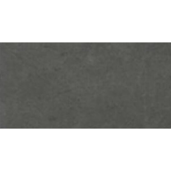 PTCHUN 30X60 DGR MARBLE RUSTY DK GREY OW6352F WP 2023-1