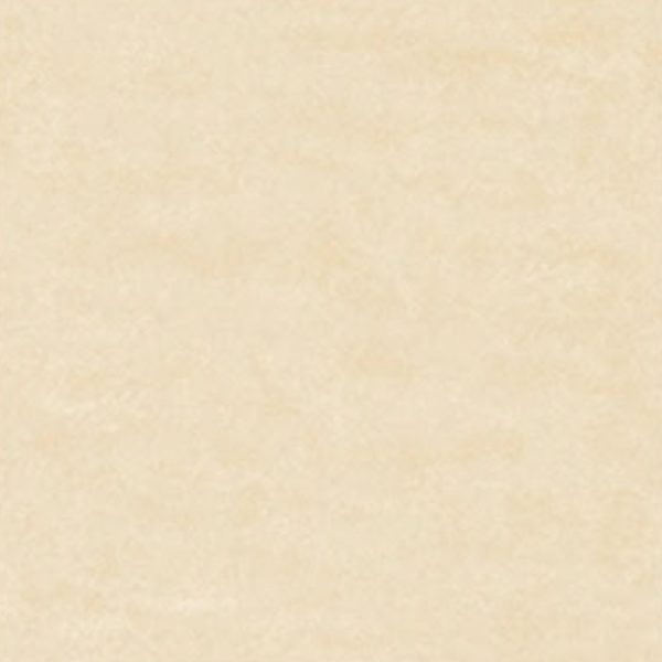 PTCHUN 60X60 DG STARRY BEIGE 2019-4
