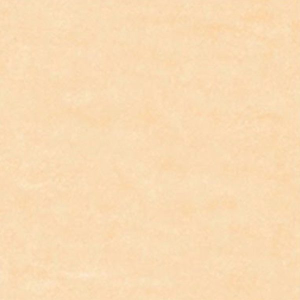 PTCHUN 60X60 DG STARRY LT GOLDEN 2019-4