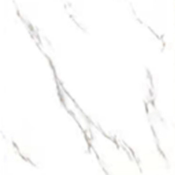 PTCHPO 60X60 DG JENNY CALACATTA WHITE PGL 6515/JCM61488H-8 WP