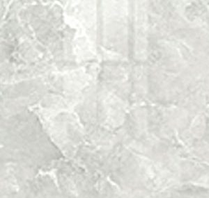PTCHPO 60X60 DGR MARBLE MOSKOV GREY PGL FS7L521 2022-3