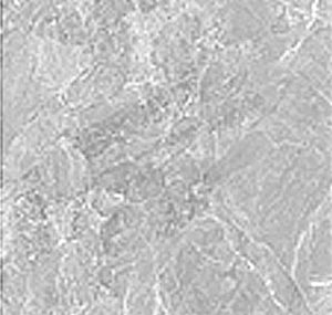 PTCHPO 60X60 DGR MARBLE PHARSA LT GREY PGL FS7L700 2022-3