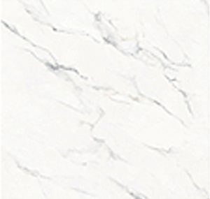 PTCHPO 60X60 DGR MARBLE WENONAH WHITE PGL FS7L640 2022-3