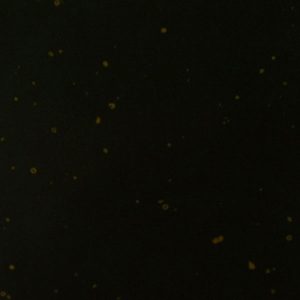 PTCHPO 60X60 BLACK GALAXY