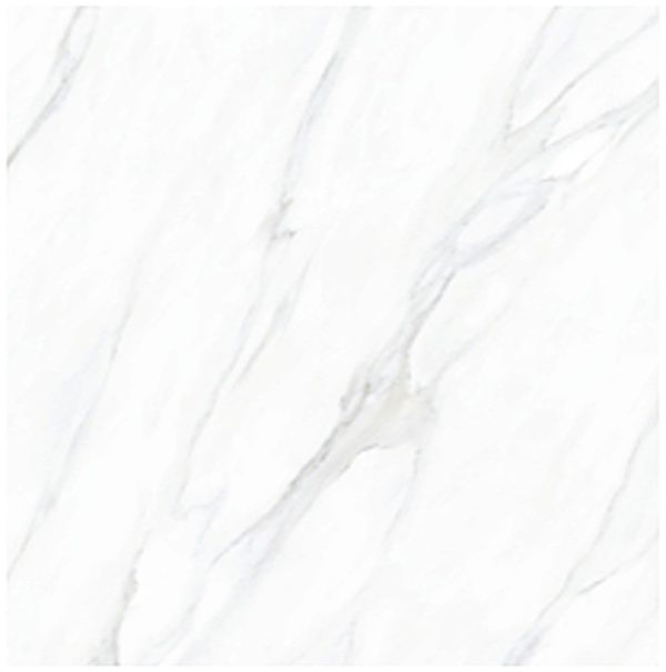 PTCHPO 60X60 DGR MARBLE CARRARA GREY PB0405/JCM61489H-8 2019-3
