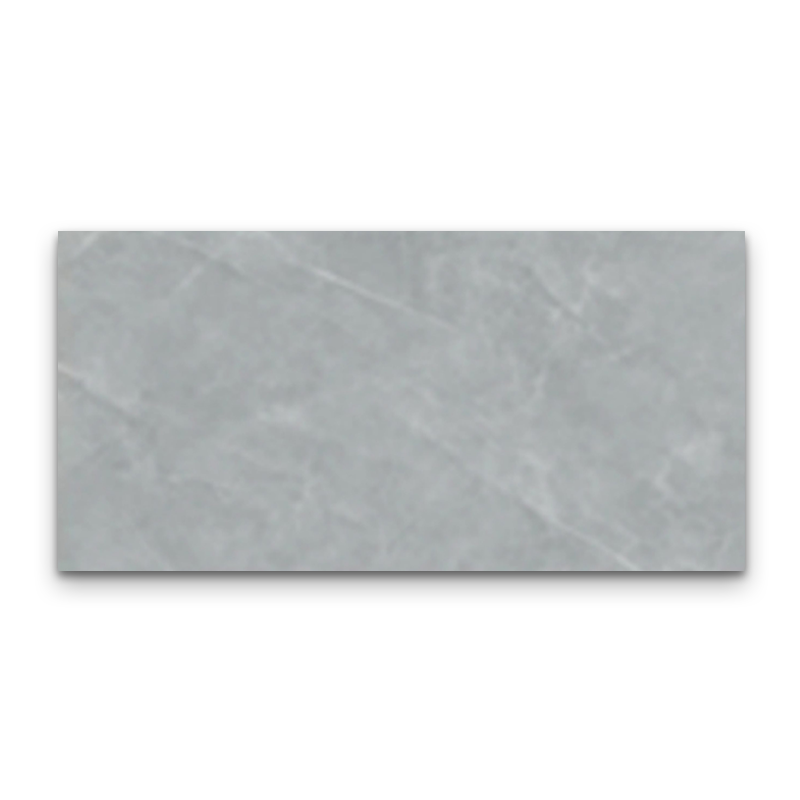 PTCHUN 30X60 DGR MARBLE ELROY GREY OW6354F WP