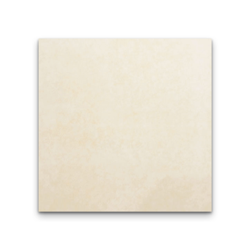PTCHUN 60X60 DG DANASAN BEIGE YJ1207