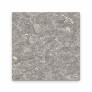 WS35A1