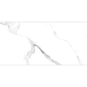 PTIDPO 60X120 DG LUCIDO SATVARIO WHITE 2023-01