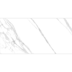 PTIDPO 60X120 DG ROYAL STATUARIO GREY 2023-1