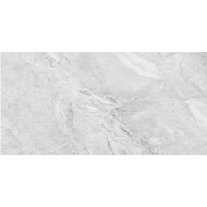 PTIDPO 60X120 DGR ALASKA SILVER 2022-4