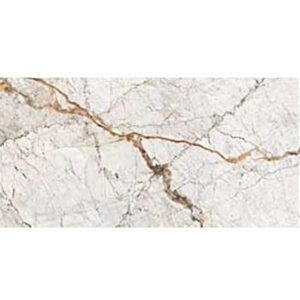 PTIDPO 60X120 DGR ROMA GOLD 2023-2
