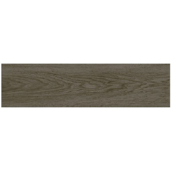 CTIMFT 20X120 MA DG WOOD PLANK SCENERY BROWN T21216-01 2019-1