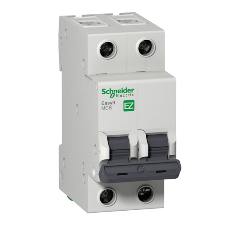 SCHNEIDER MINIATURE CIRCUIT BREAKER 2P 1000A