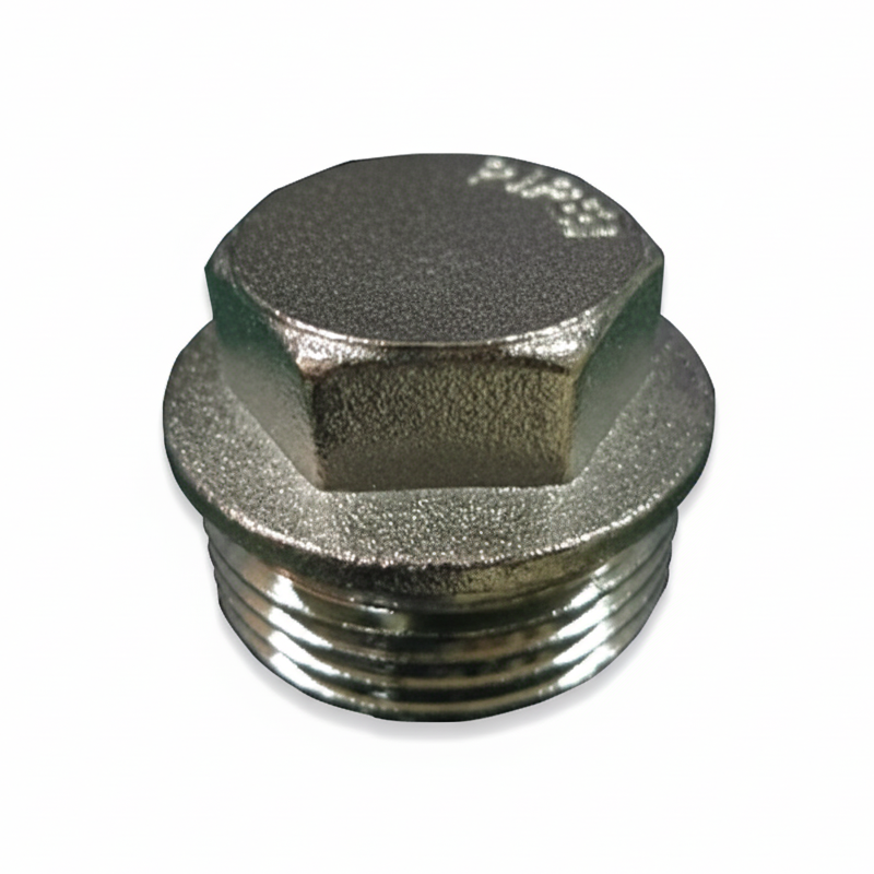BEGLER BF 314 BRASS PLUG 1″