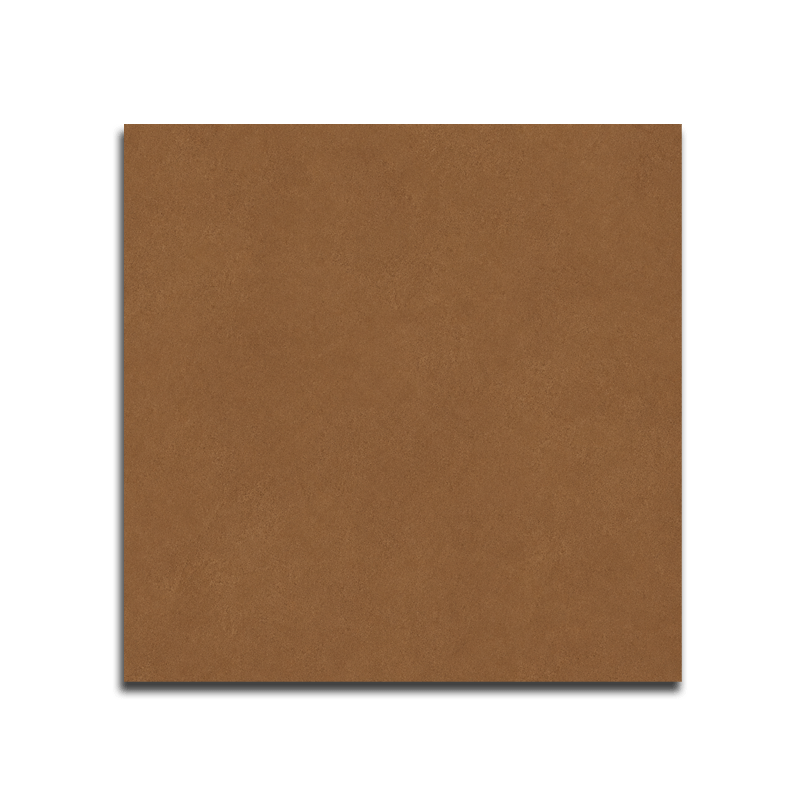 CTIDFT 60X60 MATTE JEL LT BROWN DG SUGAR-005