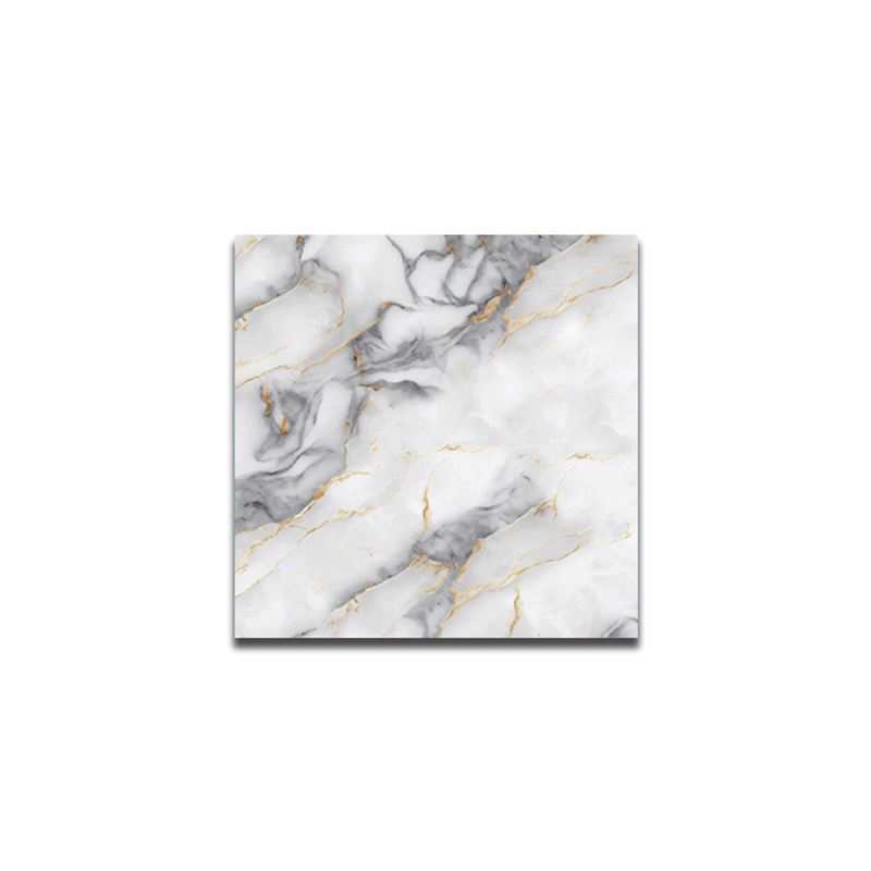 CTIMFT 40X40 GLOSSY DGR MARBLE MASHNA CG21-44