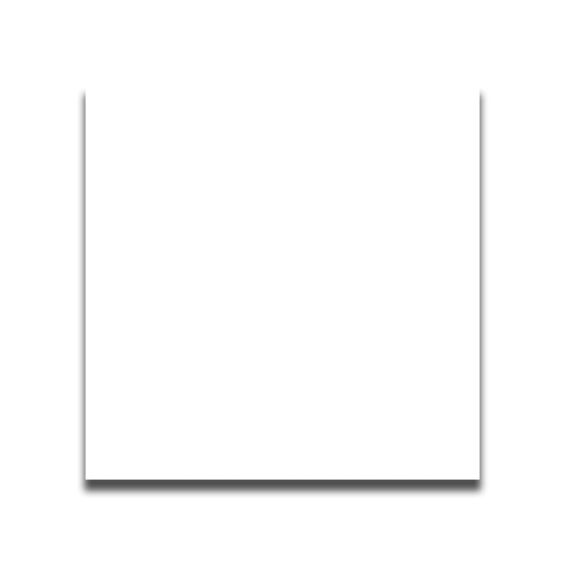 CTIMFT 60X60 GLOSSY DG BELO WHITE RS6645A/CP6600A WP