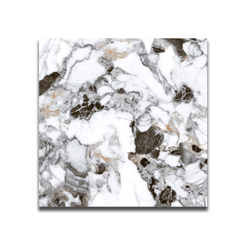 CTIMFT 60X60 GLOSSY DGR MARBLE MITSUKI CG17