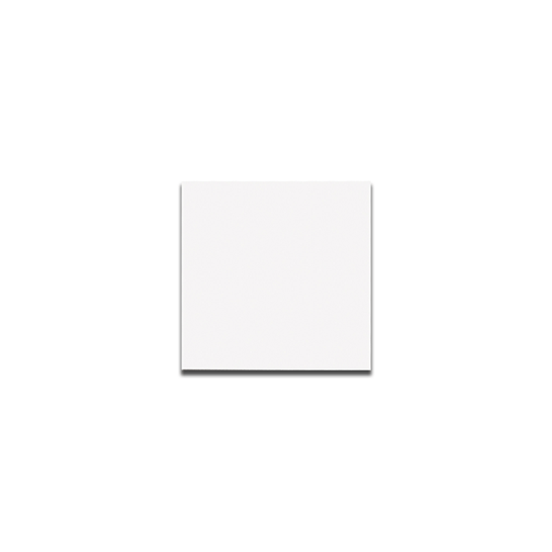 CTMAFT 20X20 ROMANA WHITE MATTE  COM
