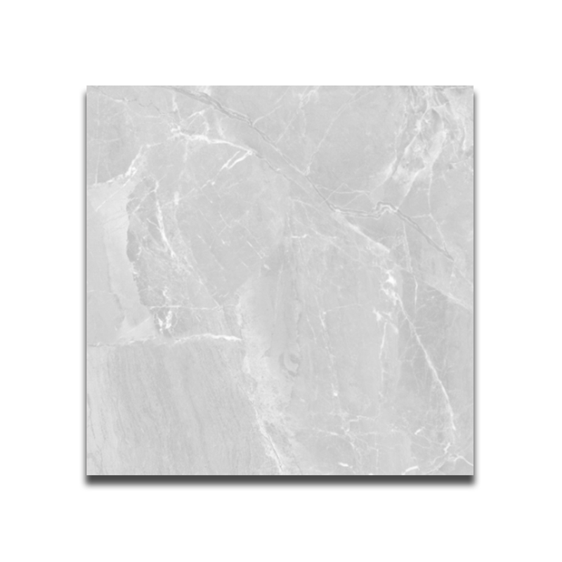 PTCHPO 60X60 DGR PALESTINA GREY TSJ2511002A