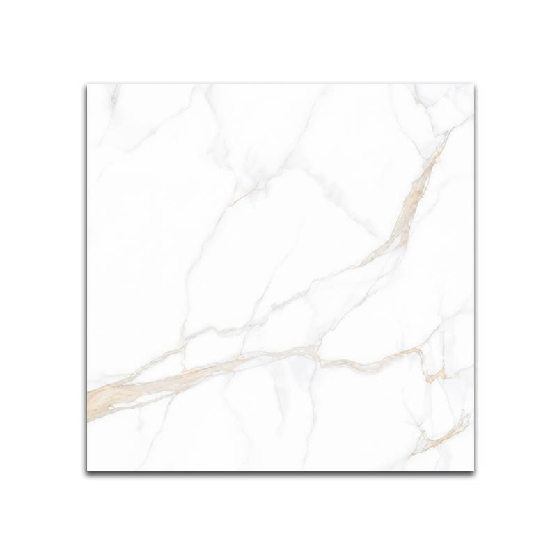 CTIMFT 60X60 GLOSSY DG MARBLE ABBESCATO WHITE RS6642